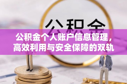 来宾公积金个人账户信息管理，高效利用与安全保障的双轨并行