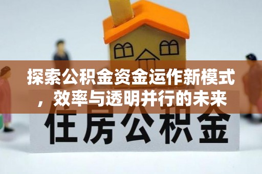 来宾探索公积金资金运作新模式，效率与透明并行的未来
