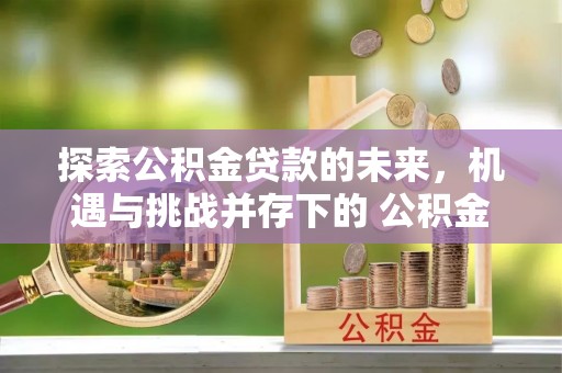 来宾探索公积金贷款的未来，机遇与挑战并存下的 公积金贷款风险防控