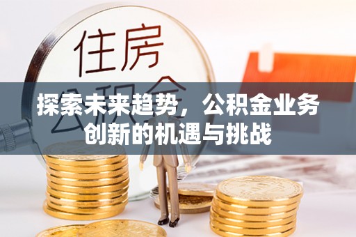 来宾探索未来趋势，公积金业务创新的机遇与挑战