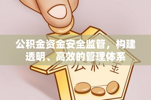 来宾公积金资金安全监管，构建透明、高效的管理体系