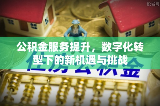 来宾公积金服务提升，数字化转型下的新机遇与挑战