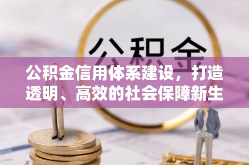 来宾公积金信用体系建设，打造透明、高效的社会保障新生态