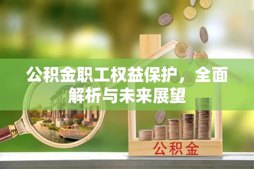 来宾公积金职工权益保护，全面解析与未来展望