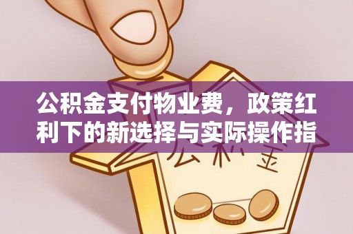 来宾公积金支付物业费，政策红利下的新选择与实际操作指南