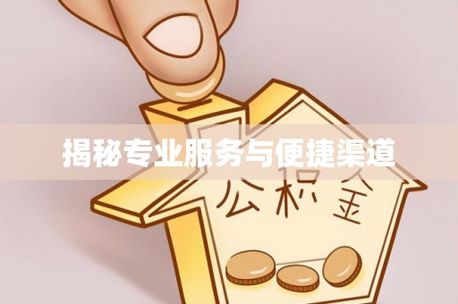 来宾揭秘专业服务与便捷渠道