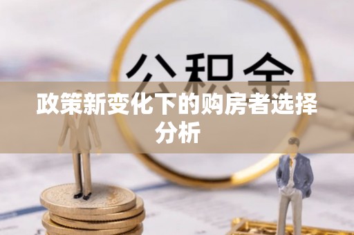来宾政策新变化下的购房者选择分析