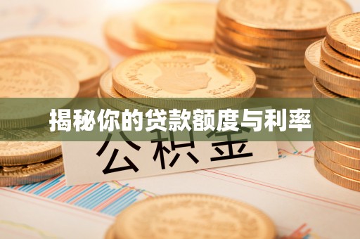 来宾揭秘你的贷款额度与利率