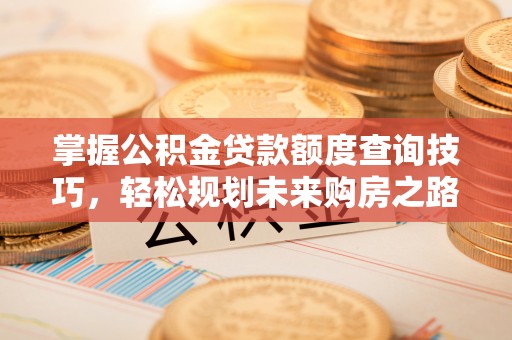 来宾掌握公积金贷款额度查询技巧，轻松规划未来购房之路
