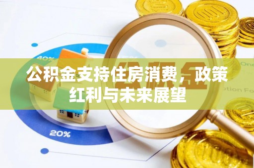来宾公积金支持住房消费，政策红利与未来展望