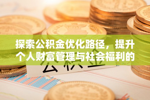 来宾探索公积金优化路径，提升个人财富管理与社会福利的双赢之道