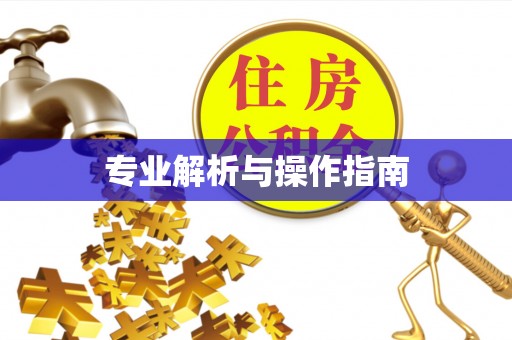来宾专业解析与操作指南