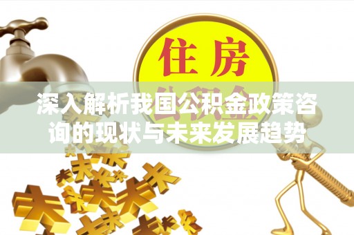 来宾深入解析我国公积金政策咨询的现状与未来发展趋势