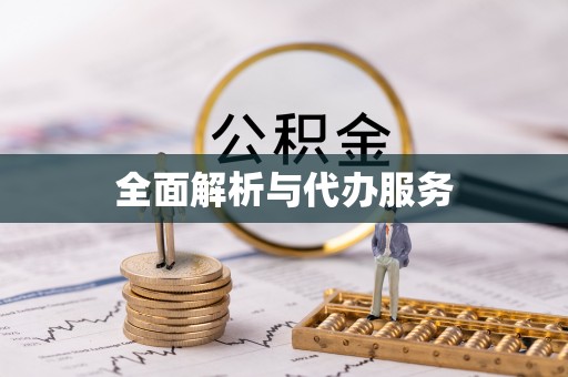 来宾全面解析与代办服务