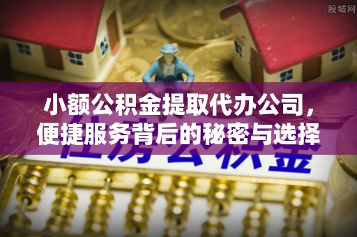 来宾小额公积金提取代办公司，便捷服务背后的秘密与选择指南
