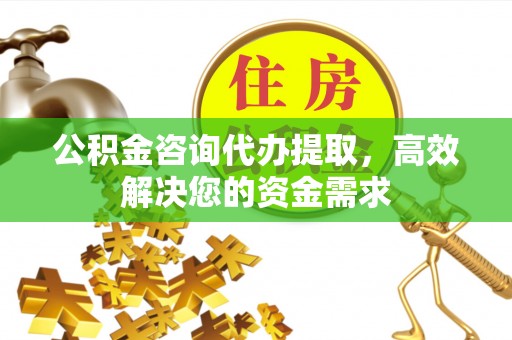 来宾公积金咨询代办提取，高效解决您的资金需求