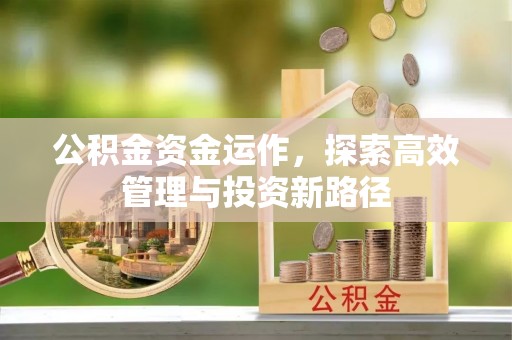 来宾公积金资金运作，探索高效管理与投资新路径