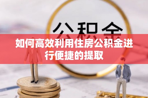 来宾如何高效利用住房公积金进行便捷的提取