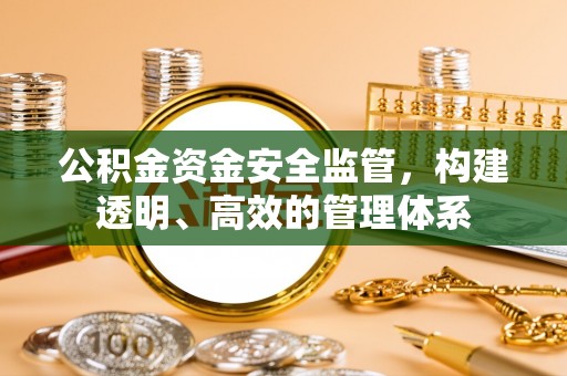 来宾公积金资金安全监管，构建透明、高效的管理体系