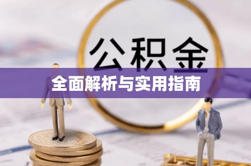 来宾全面解析与实用指南