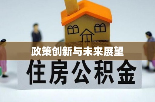 来宾政策创新与未来展望